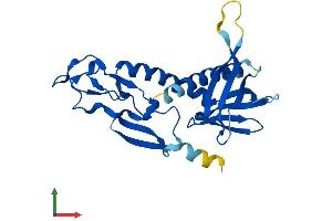Protein Structure (PS) image for Zinc Finger, FYVE Domain Containing 21 (ZFYVE21) (AA 1-234) protein (His tag) (ABIN7545630)