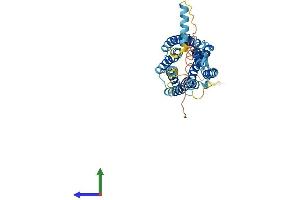 Protein Structure (PS) image for Chemokine (C-X3-C Motif) Receptor 1 (CX3CR1) (AA 1-355) protein (His tag) (ABIN7546785)