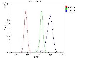 Flow Cytometry analysis of 293T cells using anti-RP2 antibody (ABIN7600869).