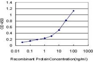 Detection limit for recombinant GST tagged HOXC12 is approximately 0. (HOXC12 抗体  (AA 1-100))