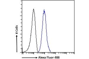 (ABIN185358) Flow cytometric analysis of paraformaldehyde fixed K562 cells (blue line), permeabilized with 0. (PLXND1 抗体  (Internal Region))