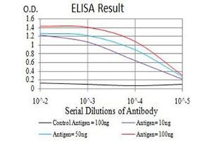 ELISA image for anti-Transcription Factor AP-2 beta (Activating Enhancer Binding Protein 2 Beta) (TFAP2B) (AA 84-193) antibody (ABIN5611288)