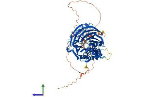 Protein Structure (PS) image for beta-Transducin Repeat Containing (BTRC) (AA 1-605) protein (His tag) (ABIN7563730)