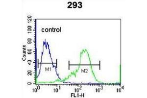 Flow cytometric analysis of 293 cells (right histogram) compared to a negative control cell (left histogram) using NKX1-2  Antibody (N-term), followed by FITC-conjugated secondary antibodies. (NKX1-2 抗体  (N-Term))