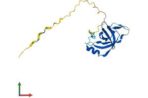 Protein Structure (PS) image for Cold Shock Domain Containing C2, RNA Binding (CSDC2) (AA 1-153) protein (His tag) (ABIN7546702)