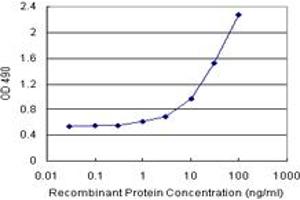 Sandwich ELISA detection sensitivity ranging from 1 ng/mL to 100 ng/mL. (CBL (人) Matched Antibody Pair)