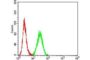 Flow cytometric analysis of K562 cells using CD207 mouse mAb (green) and negative control (red). (CD207 抗体  (AA 155-328))