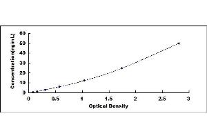 Typical standard curve (SOD2 ELISA 试剂盒)