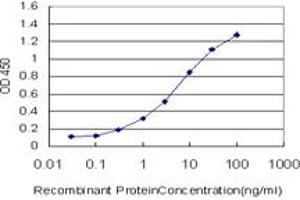 Detection limit for recombinant GST tagged PPIL1 is approximately 0. (PPIL1 抗体  (AA 76-166))