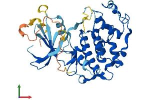 Protein Structure (PS) image for Cyclin-Dependent Kinase 20 (CDK20) (AA 1-346) protein (His tag) (ABIN7553226)