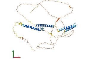 Protein Structure (PS) image for Basic Helix-Loop-Helix Family, Member E41 (BHLHE41) (AA 1-410) protein (His tag) (ABIN7564931)