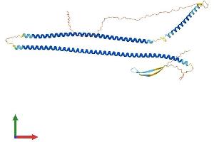 Protein Structure (PS) image for Cytokeratin 28 (KRT28) (AA 1-464) protein (His tag) (ABIN7548617)