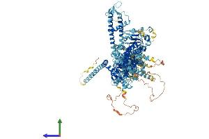 Protein Structure (PS) image for Transient Receptor Potential Cation Channel, Subfamily M, Member 4 (TRPM4) (AA 1-1213) protein (His tag) (ABIN7564194)