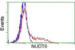 HEK293T cells transfected with either RC203470 overexpress plasmid (Red) or empty vector control plasmid (Blue) were immunostained by anti-NUDT6 antibody (ABIN2454160), and then analyzed by flow cytometry. (NUDT6 抗体)