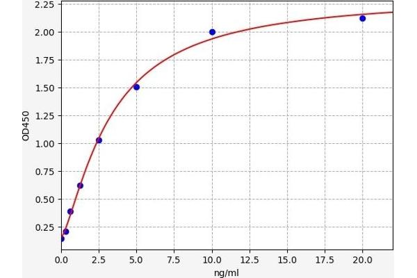 Thimet Oligopeptidase 1 ELISA 试剂盒