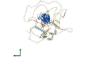Protein Structure (PS) image for Period Homolog 3 (PER3) (AA 1-1113) protein (His tag) (ABIN7562542)