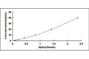 DnaJ (Hsp40) Homolog, Subfamily B, Member 1 (DNAJB1) ELISA Kit
