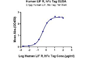 Immobilized Human LIF, No Tag at 1 μg/mL (100 μL/Well) on the plate. (LIFR Protein (AA 45-833) (Fc Tag))