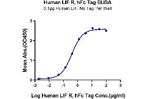 Immobilized Human LIF, No Tag at 1 μg/mL (100 μL/Well) on the plate. (LIFR Protein (Fc Tag))