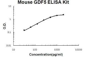 Mouse GDF5 PicoKine ELISA Kit standard curve (GDF5 ELISA 试剂盒)