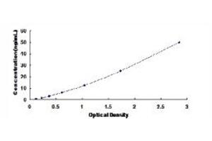 Typical standard curve (HSP27 ELISA 试剂盒)