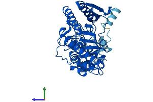 Protein Structure (PS) image for Creatine Kinase, Muscle (CKM) (AA 1-381) protein (His tag) (ABIN7548812)