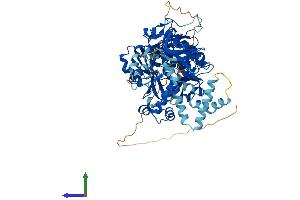 Protein Structure (PS) image for Acyl-CoA Synthetase Bubblegum Family Member 1 (ACSBG1) (AA 1-721) protein (His tag) (ABIN7564928)