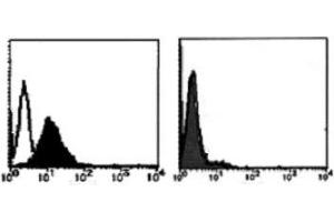 Flow Cytometry (FACS) image for anti-TNF Receptor Superfamily, Member 6 (FAS) antibody (ABIN1106612) (FAS 抗体)