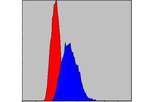 Flow cytometric analysis of Hela cells using IRAK4 mouse mAb (blue) and negative control (red). (IRAK4 抗体)