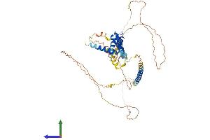 Protein Structure (PS) image for Acyl-CoA Binding Domain Containing 5 (ACBD5) (AA 1-508) protein (His tag) (ABIN7557572)