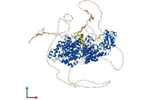 Protein Structure (PS) image for Histone Deacetylase 6 (HDAC6) (AA 1-1215) protein (His tag) (ABIN7554066)