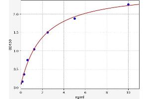 Typical standard curve (CCBL1 ELISA 试剂盒)