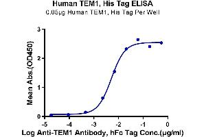 ELISA image for CD248 Molecule, Endosialin (CD248) (AA 18-687) protein (His tag) (ABIN7275687)