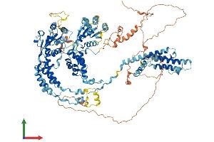 Protein Structure (PS) image for ATPase Family, AAA Domain Containing 2 (ATAD2) (AA 1-1040) protein (His tag) (ABIN7564547)