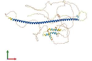 Protein Structure (PS) image for Syntabulin (Syntaxin-Interacting) (SYBU) (AA 1-665) protein (His tag) (ABIN7558656)