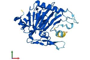 AlphaFold protein structure predicition of Human Recombinant PHYHD1 Protein, UniprotID Q5SRE7