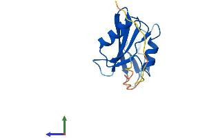 Protein Structure (PS) image for SH2 Domain Containing 1A (SH2D1A) (AA 1-128) protein (His tag) (ABIN7546049)