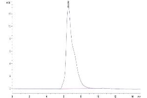 Size-exclusion chromatography-High Pressure Liquid Chromatography (SEC-HPLC) image for CD96 (CD96) (AA 22-502) protein (His tag) (ABIN7274262)