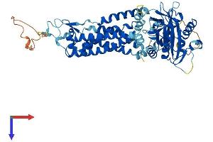 Protein Structure (PS) image for NADPH Oxidase 4 (NOX4) (AA 1-578) protein (His tag) (ABIN7554739)