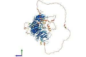 Protein Structure (PS) image for Mitogen-Activated Protein Kinase Kinase Kinase Kinase 3 (MAP4K3) (AA 1-894) protein (His tag) (ABIN7564881)