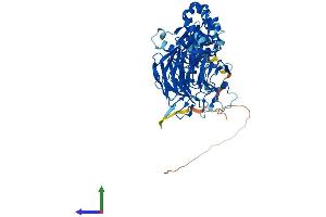 Protein Structure (PS) image for Kelch-Like 6 (KLHL6) (AA 1-619) protein (His tag) (ABIN7558116)