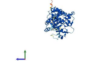 Protein Structure (PS) image for Carbohydrate (N-Acetylglucosamine 6-O) Sulfotransferase 4 (CHST4) (AA 1-386) protein (His tag) (ABIN7553374)