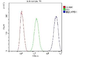 Flow Cytometry analysis of SiHa cells using anti-APE1 antibody (ABIN5692978).