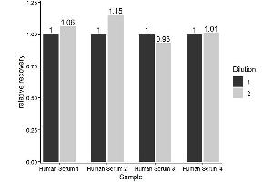 The ST/5-HT (Serotonin/5-Hydroxytryptamine) ELISA Kit was tested for linearity of dilution by using different dilutions of appropriate samples and testing for recovery using the SOP. (Serotonin ELISA 试剂盒)