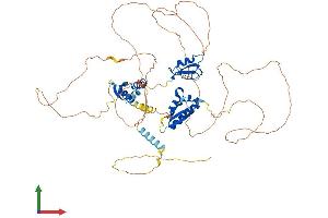 Protein Structure (PS) image for Mex-3 Homolog D (MEX3D) (AA 1-643) protein (His tag) (ABIN7557171)
