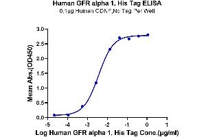Immobilized Human GDNF, No Tag at 1 μg/mL (100 μL/well) on the plate. (GFRA1 Protein (AA 25-424) (His tag))