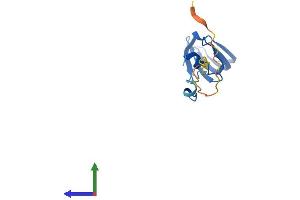 Protein Structure (PS) image for Small Nuclear Ribonucleoprotein D1 Polypeptide 16kDa (SNRPD1) (AA 1-119) protein (His tag) (ABIN7546064)
