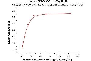 ELISA image for Carcinoembryonic Antigen-Related Cell Adhesion Molecule 5 (CEACAM5) (AA 35-685) protein (His tag,AVI tag,Biotin) (ABIN6386445)