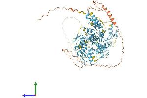 Protein Structure (PS) image for Zinc Finger Protein 611 (ZNF611) (AA 1-705) protein (His tag) (ABIN7545677)