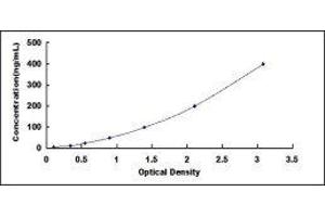 ELISA image for Surfactant Protein D (SFTPD) ELISA Kit (ABIN414528)